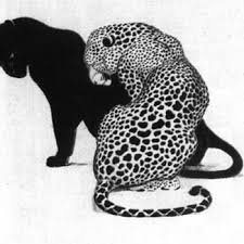 Cocodrilo Big Cats Art Cat Art Animals