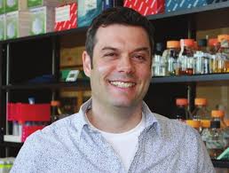 RNAi FOR WIREWORM CONTROL