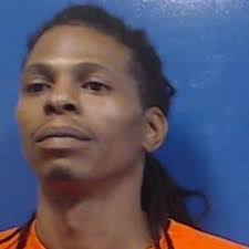 Dogs, drugs, weapons seized in alleged dogfighting ring in George County