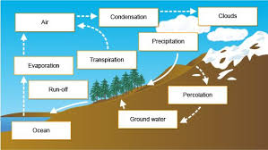 Gcse Bitesize The Hydrological Cycle Hydrological Cycle Gcse Geography Geography