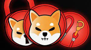 According to shiba inu, the reasoning behind the creation of shiba is that shibas constantly forget where they bury their treasure. I8wzbpqbn0r2dm