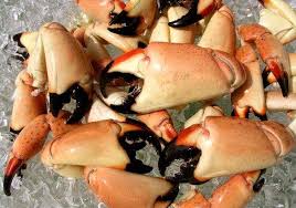 It is situated at the water`s edge and sheltered by high rising adjacent cliffs. From Seaside To The East Side Where To Get Stone Crabs In Los Angeles