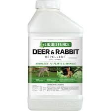 Moreover, this amazingly working lawn fungicide can control 26 types of different diseases, including common lawn diseases. Scotts 5 000 Sq Ft 10 Lb Diseaseex Lawn Fungicide 37610c Blain S Farm Fleet