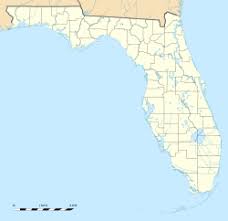 It's 906 miles or 1458 km from gainesville (virginia) to tampa, which takes about 14 hours, 14 minutes to drive. Tampa Florida Wikipedia