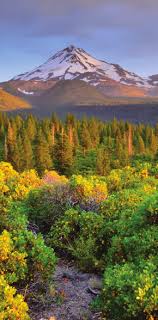 Sacramento Valley Region Report