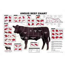 27x40 Angus Beef Chart Meat Cuts Diagram Poster