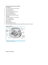 We did not find results for: Perbedaan Sel Hewan Dan Sel Tumbuhan