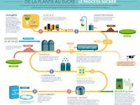 Epingle Sur Alimentation Les Sucres