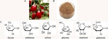 Image result for Lycium mascarenense