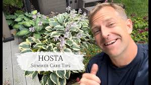 Easter egg hunt at Schedel Arboretum and Gardens