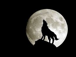 Quando chegar a lua cheia vou descrever oque sinto por você vou desenhar o seu rosto nas estrelas com. Wolf Howling Desenho De Lobo Uivando Lobos Uivando Lobo Uivando Pra Lua
