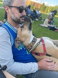 Does anyone have videos or articles proving Cesar Milan is not a dog  whisperer and his methods are outdated?