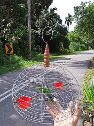 Dalam hal pembersihan sangkar serta juga dalam membersihkan sangkar burung serindit setiap 2 hari sekali dan kemudian setelah itu cuci sangkarnya sampai bersih. Sangkar Burung Serindit Postingan Facebook