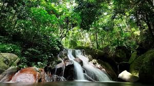 Another stunning island in malaysia is payar island which is a hidden oasis located in the straits of melaka. 10 Best Malaysia Islands To Visit Cnn Travel
