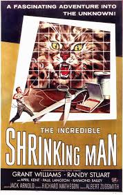 The hulk broke into pym's lab and consumed one of his shrinking formulas. The Incredible Shrinking Man The Invisible Man Wiki Fandom