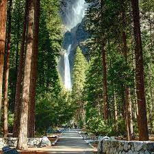 Check spelling or type a new query. The Restoration Of Yosemite Falls Yosemite Conservancy
