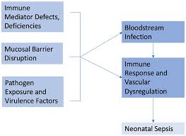 Image result for Neonatal Sepsis