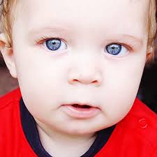 Tegan Mitchell Coffman