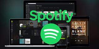 Find it in the spotify mobile app in home, or by. How To See And Use Only You The New Spotify Feature Find Out If You Are Different From The Rest Light Home