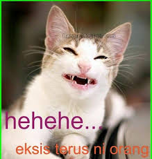 Gambar Kucing Garong Lucu Gambar Kucing Lucu Lucu Gambar Lucu