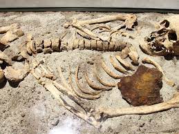 Thus scientist calculate this no. Climate Change Might Break Carbon Dating Smart News Smithsonian Magazine