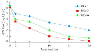 Early Viral Kinetics During Hepatitis C Virus Genotype 6