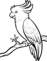 40 Beautiful Bird Drawings And Art Works For Your Inspiration Cartoon Bird Drawing Drawing Birds Easy Bird Drawings There are around ten thousand species of birds around the world that are already known to man kind and more. drawing birds easy bird drawings