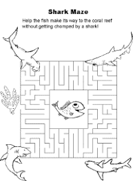shark activities