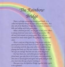 Northern Ca Afghan Hound Rescue Rainbow Bridge Rainbow Bridge Dog Rainbow Bridge Poem Rainbow Bridge Dog Poem