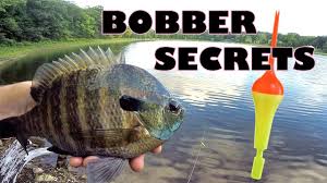 Reel In The Perfect Catch With The Best Fishing Bobber