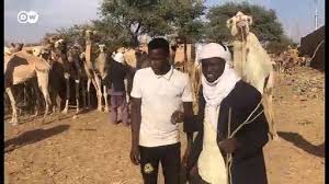 Sabuwar wakar nura m inuwa: Dw Hausa Kasuwar Rakuma A Yankin Zinder Facebook