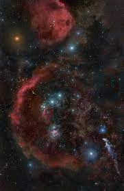Orion Constellation Showing The Surrounding Nebulas Of The Orion Molecular Cloud Complex Also Captured Is The Re Orion Constellation Astronomy Pictures Nebula
