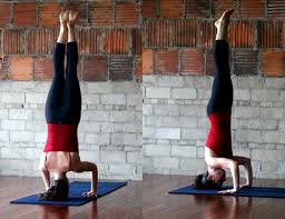 Strike A Yoga Pose Tripod Headstand Workin On My Fitness Yoga Yoga Poses Arm Yoga