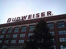 Maybe you would like to learn more about one of these? Budweiser Wikipedia