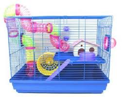 For rat cages, powder coated metal wire cages are commonly attached to plastic bases as some rodents are big chewers. Aquarline Venice Small Animal Cage Suitable For Syrian Hamsters Rats Gerbils And Other Small Animals Large Blue Amaz Small Animal Cage Pet Cage Small Pets