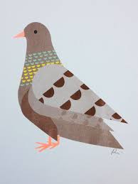 Pigeon Edition 2 Chester Bird Illustration Bird Art Illustration