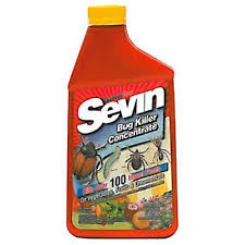 Sevin ® insect killer ready to spray kills more than 500 insect pests by contact on ornamentals, flowers, vegetables and fruits, as well as in lawns and around your home's perimeter. Garden Tech Sevin Bug Killer Concentrate Buy At Nature Hills Nursery