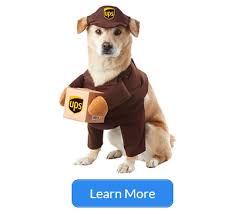 Best Halloween Costume For Dogs 2019 Reviews Buyers Guide