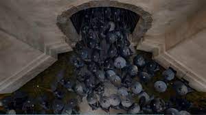 Everything Anyone Notice The Imagery Give Me 10 Good Men And I Ll Impregnate The Bitch R Gameofthrones