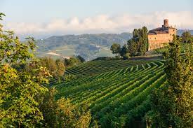 Scopri itinerari e eventi e organizza la tua esperienza. Das Piemont Heimat Des Truffels Andronaco