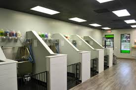 All chow hound locations feature super convenient dog wash rooms available from 9 a.m. Just Dog People S 5 Bay Self Service Dog Wash Dog Grooming Tubs Build A Dog House Indoor Dog Park