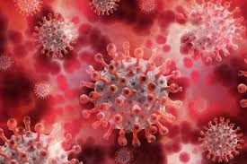 Pedestrians walk past a sign warning members of the public about the spread of coronavirus in hounslow, west london, on june 1. Delta Variant Constitutes Over 6 Of Tested Covid Cases With Virus Variants In Nyc Health Dept World News India Tv