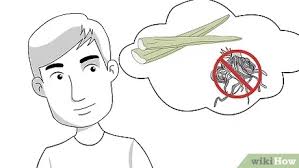 L'aloe vera pousse de manière spontanée dans le sud de l'europe. 3 Manieres De Faire Pousser Un Aloe Vera Avec Une Feuille D Aloe Vera