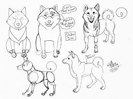 If you want to know how this dog would look like and how to draw them, you can follow these steps and prepare several things beforehand. Draw Shiba Inu Dog By Diana Huang On Deviantart