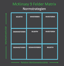 Wenn ihnen die vorlage gefällt hinterlassen sie uns doch 5 sterne beim artikel und bewerten sie uns auf google oder in unserem heutigen video zeigt euch sven wie ihr mit hilfe unserer vorlage ganz schnell und einfach eine 4 felder matrix in excel erstellen könnt. Portfolioanalyse Beschreibung Beispiele Vorlagen