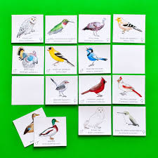 Bird Pairs Printable Memory Match Game For Kids Memory Match Game Memory Games Memory Games For Kids