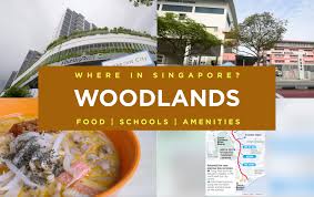 Furniture and accessory rentals for special events, corporate meetings, weddings and conferences. Where In Singapore Woodlands Best Food Schools Amenities In The Area Singapore Furniture Rental