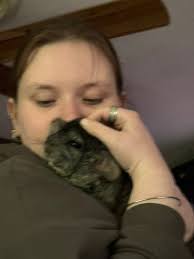 The Rainbow Bridge 🌈