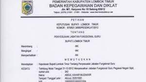 Sesuai dengan permenpan no 16 tahun 2009. Mencoba Memahami Pengisian Epupns Guru Deuniv