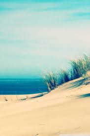 Tropical beach 1, beach wallpaper, travel, islands, ocean, exotic. Sunny Beach Wallpapers Download 640x960 Wallpaper Teahub Io